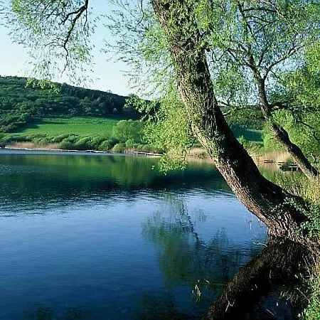 Elegante In Schalkenmehren